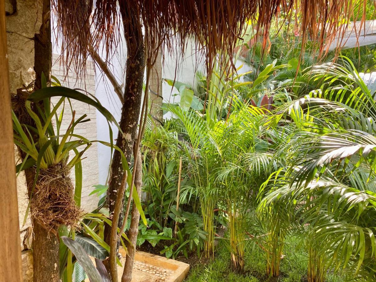 Luxury Private Villas , Private Pool, Private Garden, Jacuzzi, 24Hours Security Tulum Exterior foto